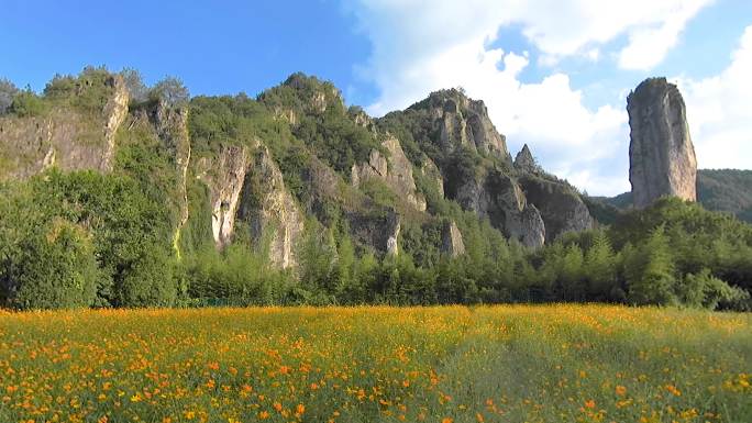 格桑花海 山 天空 大自然 美丽风景