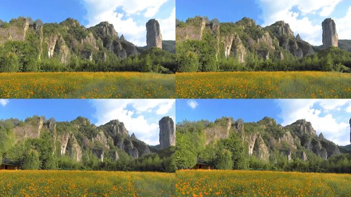 格桑花海 山 天空 大自然 美丽风景