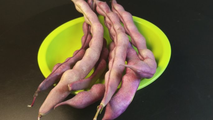 紫色四季豆豌豆（17）