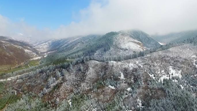 唯美雪后森林峡谷春景航拍