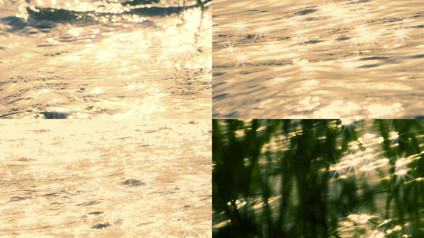 唯美黄昏河边水草湖面波光粼粼视频素材