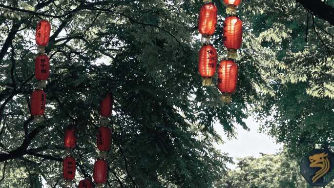阆中古镇树木树叶红灯笼摆动空镜素材