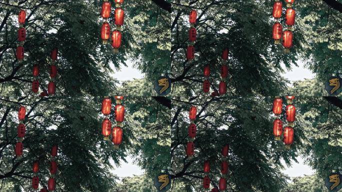 阆中古镇树木树叶红灯笼摆动空镜素材