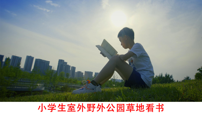 小学生室外野外公园草地看书背书视频素材