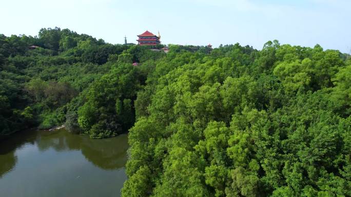 广州番禺莲花山莲华禅寺航拍2