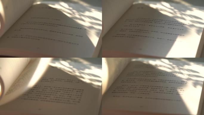 阳光下翻书阅读看书