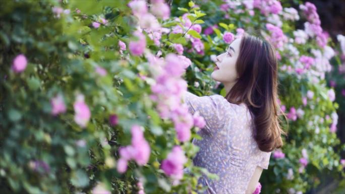 女子在蔷薇花丛中