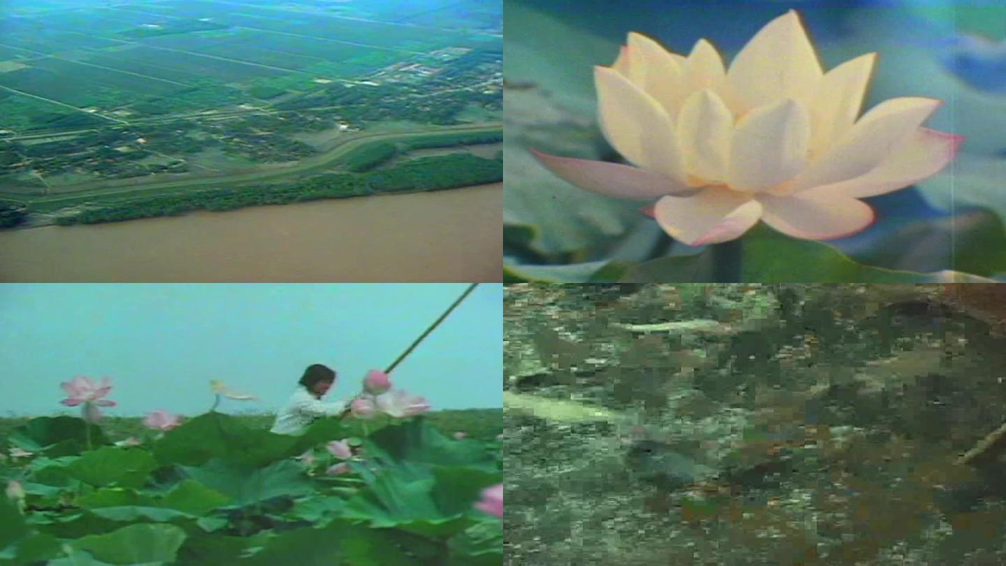 80年代长江洞庭湖影像