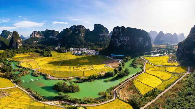 广西大新明仕田园丰收节秋景