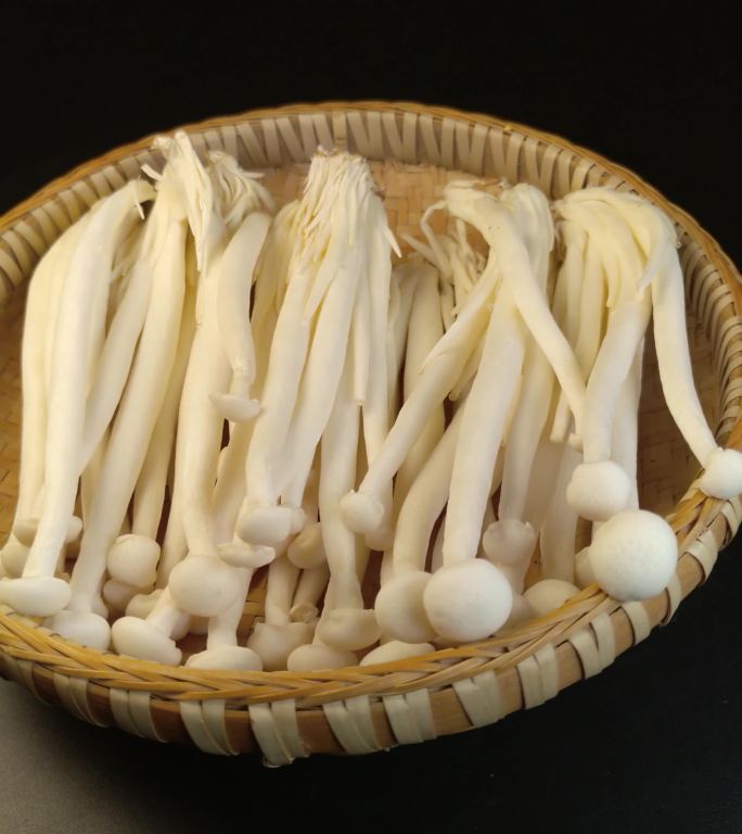 219海鲜菇白玉菇食用菌（2）