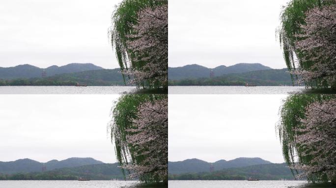 杭州西湖春天唯美空镜素材4K