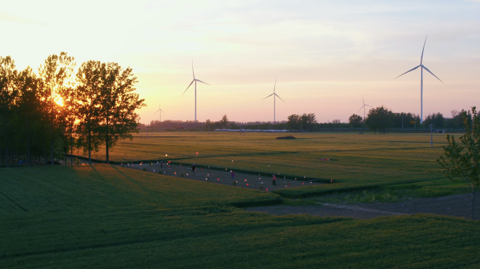 夕阳下麦田绿色环保唯美风车碳中和风力发电