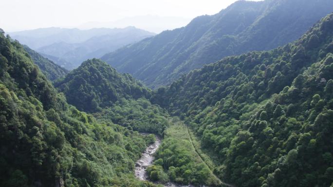 历史遗迹茶马古道大相岭古道小关至大关段