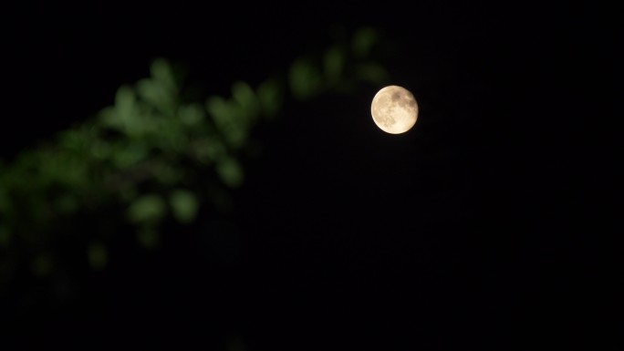 月亮搞搞挂起