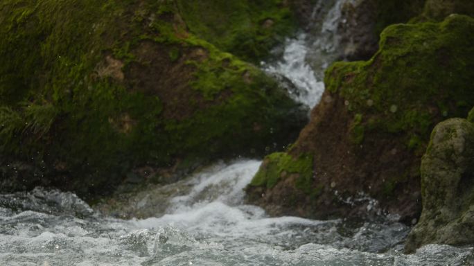 山涧 溪流 绿色 自然