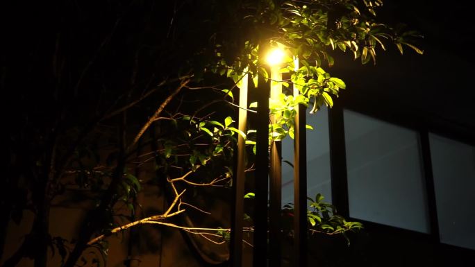 实拍夏夜昏黄路灯窗户树影