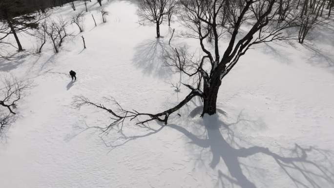 4K60帧人在雪地艰难行走冬天航拍