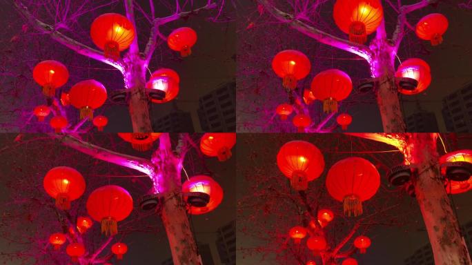 城市夜景树上的红灯笼