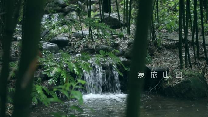 雨落竹清脆  泉清水灵韵