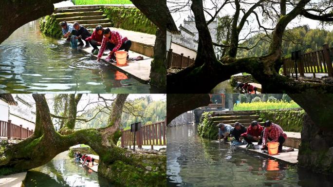 4K农村生活日常