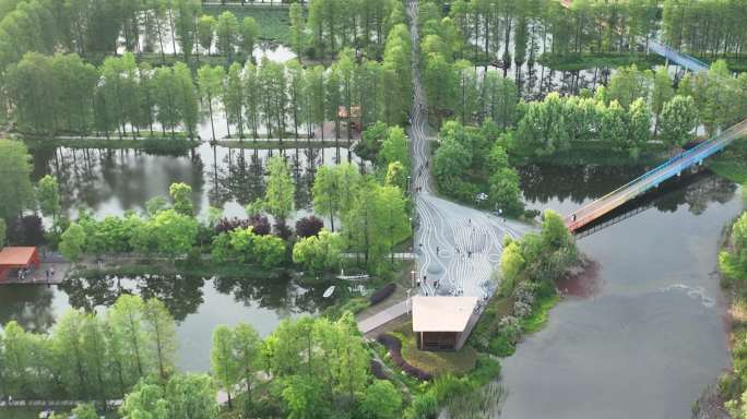 【5K】华侨城生态湿地公园