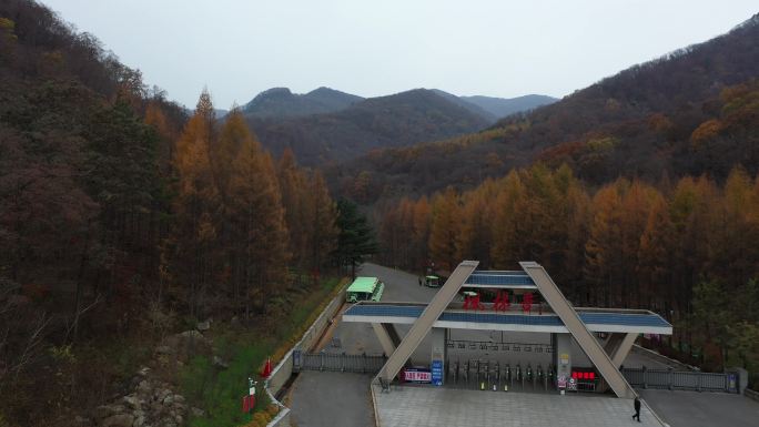 风景 山区 树林  枫叶 秋季 景区