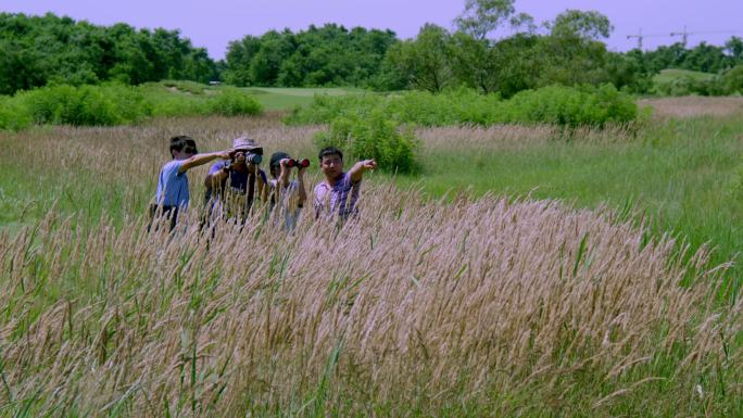 一群年轻人在湿地公园观鸟 赏鸟 拍照