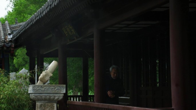 中式园林古建筑雨天下雨写意植物绿植唯美