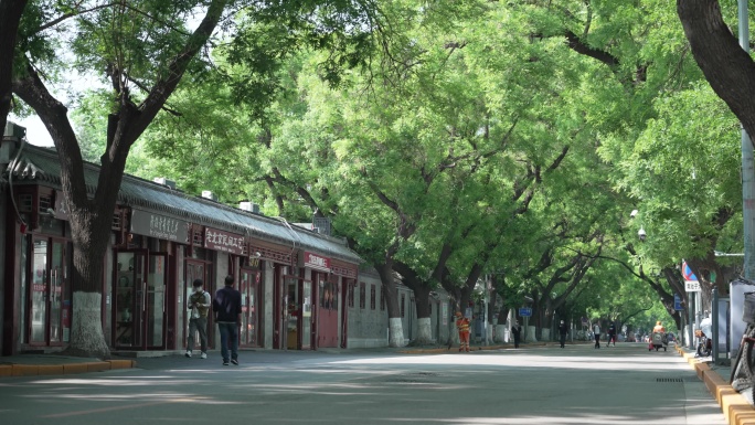 绿树成阴的北京老街4K