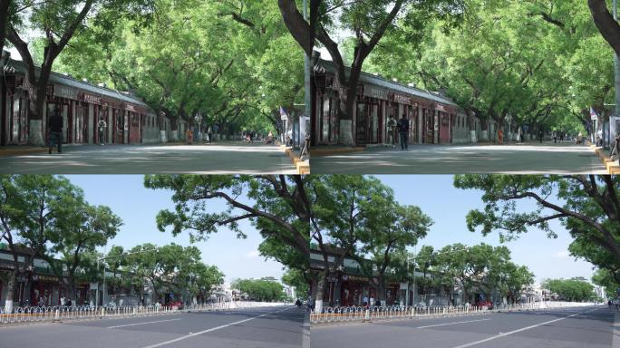 绿树成阴的北京老街4K