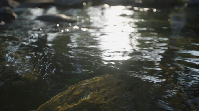 阳光下林间山泉水小溪流手捧水喝泉水视频