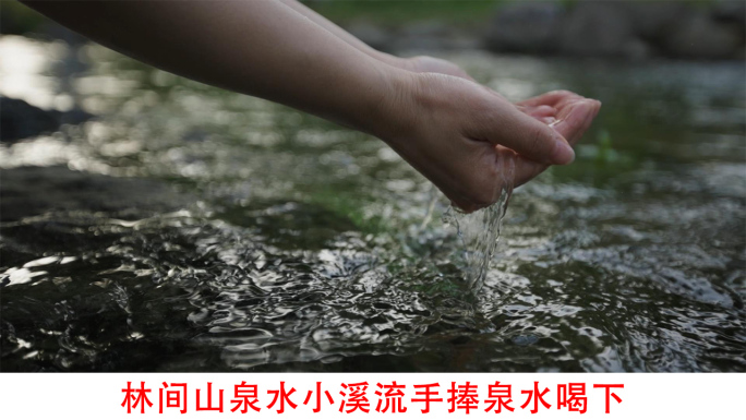 阳光下林间山泉水小溪流手捧水喝泉水视频