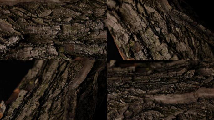 树皮龟裂 木头纹理裂纹