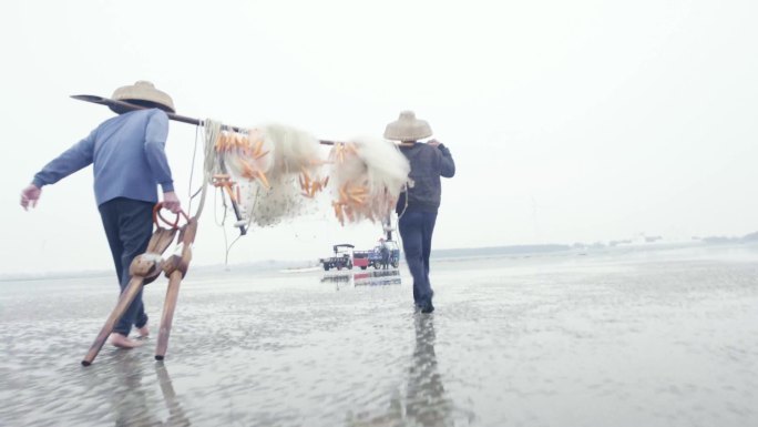 广东雷州半岛收渔网