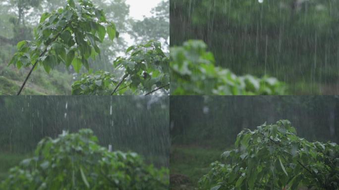 大雨暴雨下雨小区小雨夏季雨季雨景洪水灾