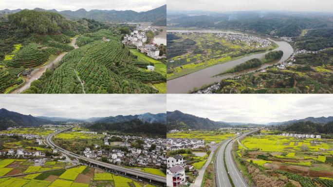 4K实拍茶园 油菜花 高速公路 美丽乡村