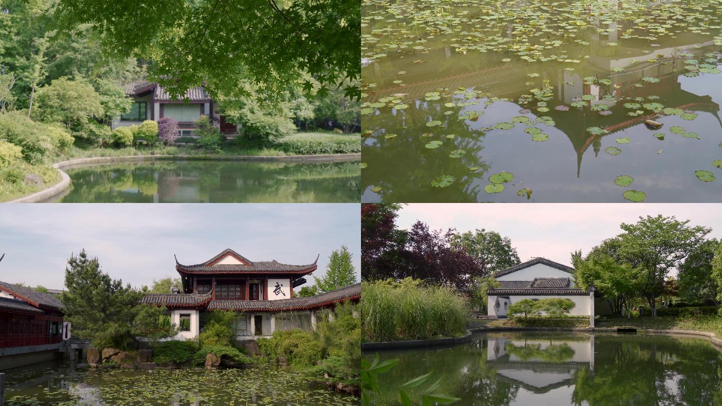 春天公园中国古典庭院