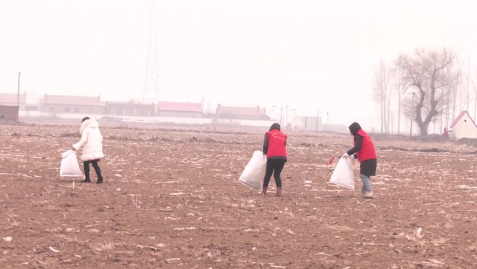 志愿者清理农田里的塑料薄膜垃圾废料