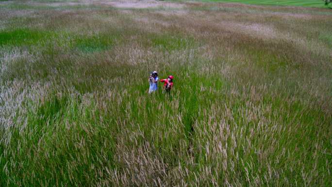 年轻情侣在湿地公园观鸟 赏鸟 拍照