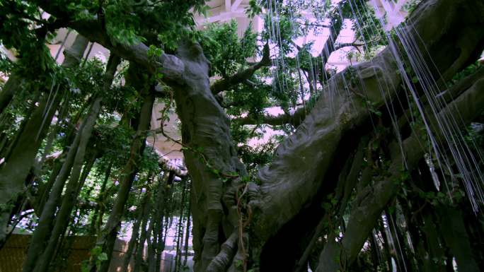 温泉度假酒店里的人造森林景观