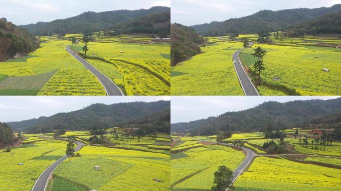 云南 玉溪 富良棚 油菜花 炊烟 航拍