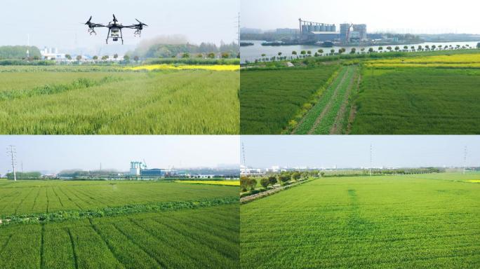 4K农业大疆植保无人机洒农药现代农业科技