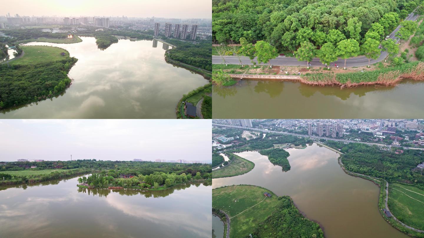 成都青龙湖湿地公园夕阳湖景5k