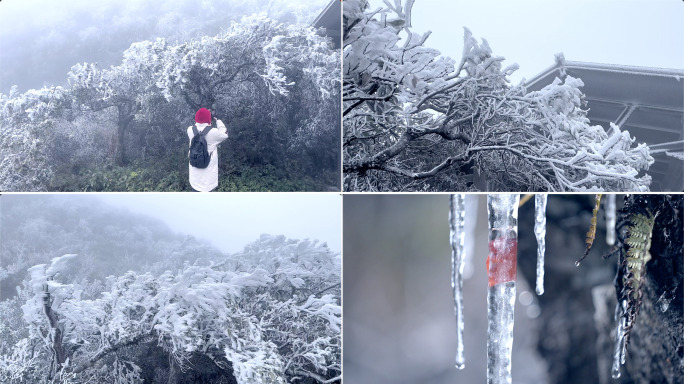 大明山冰雪雾凇世界小合集