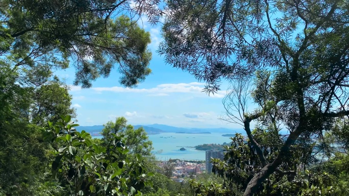 厦门从山顶树林看大海