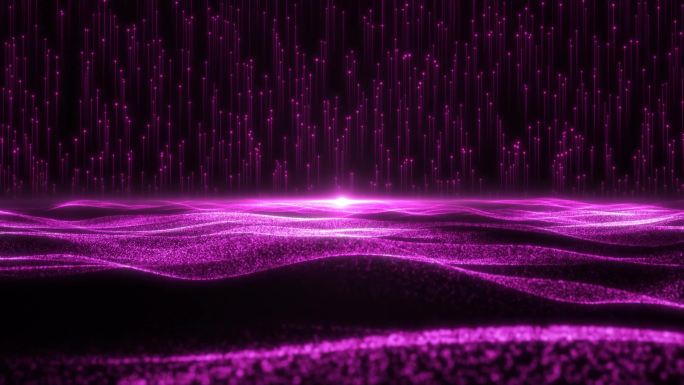 紫光流