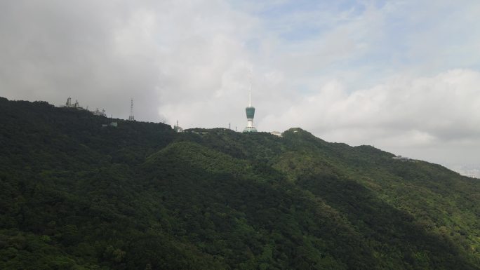 高山森林航拍