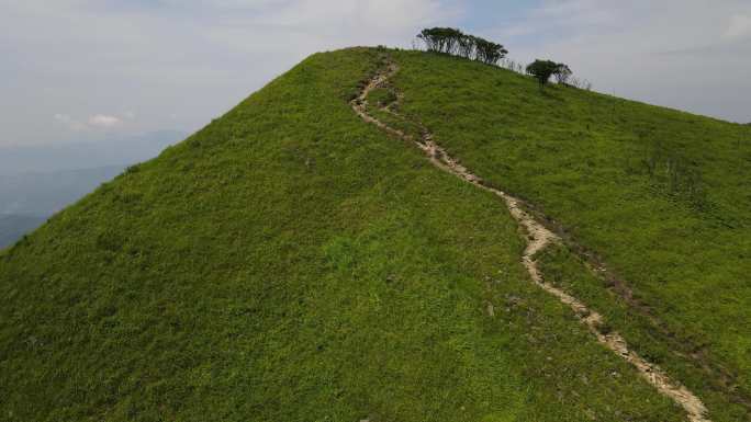 武功山夏天高山草甸