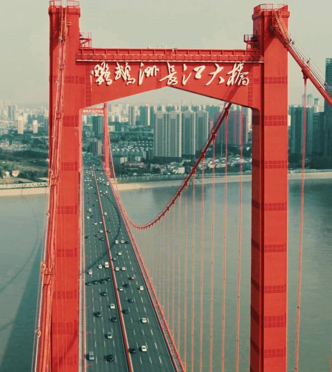 鹦鹉洲长江大桥（竖屏）