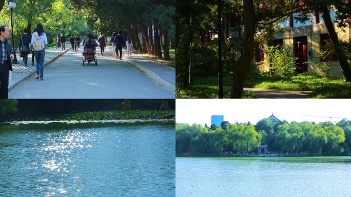 北大校园 最高学府 未名湖畔 学习生活